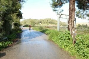 Nahal Yitla Neve Ilan