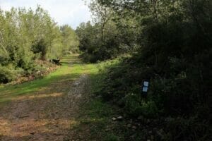 Nahal Yitla Neve Ilan