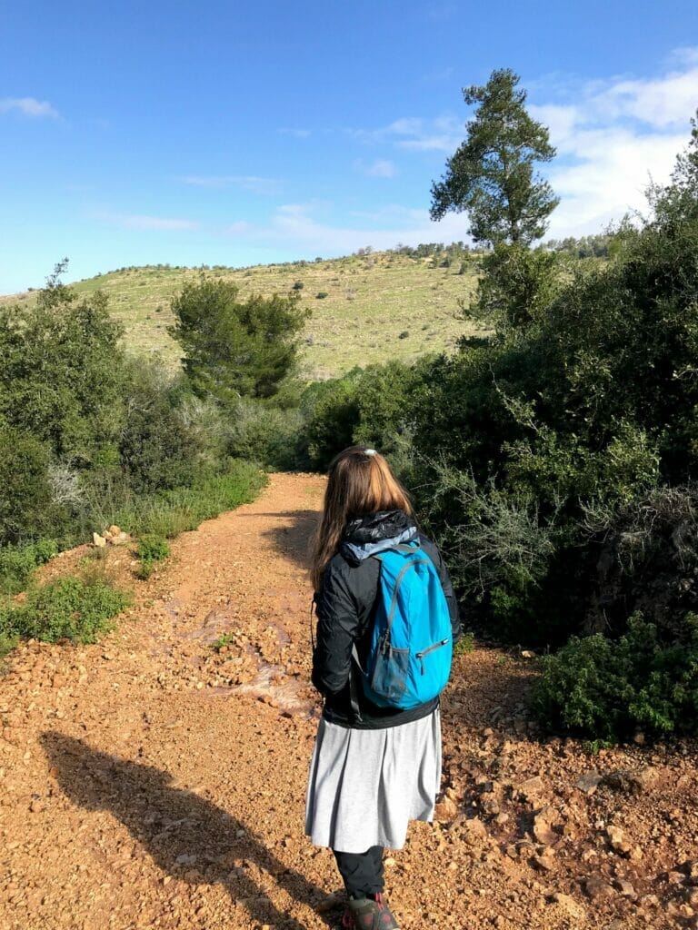 Nahal Yitla - Neve Ilan Forest