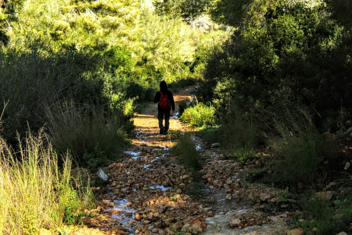 Nahal Yitla -Neve Ilan Forest