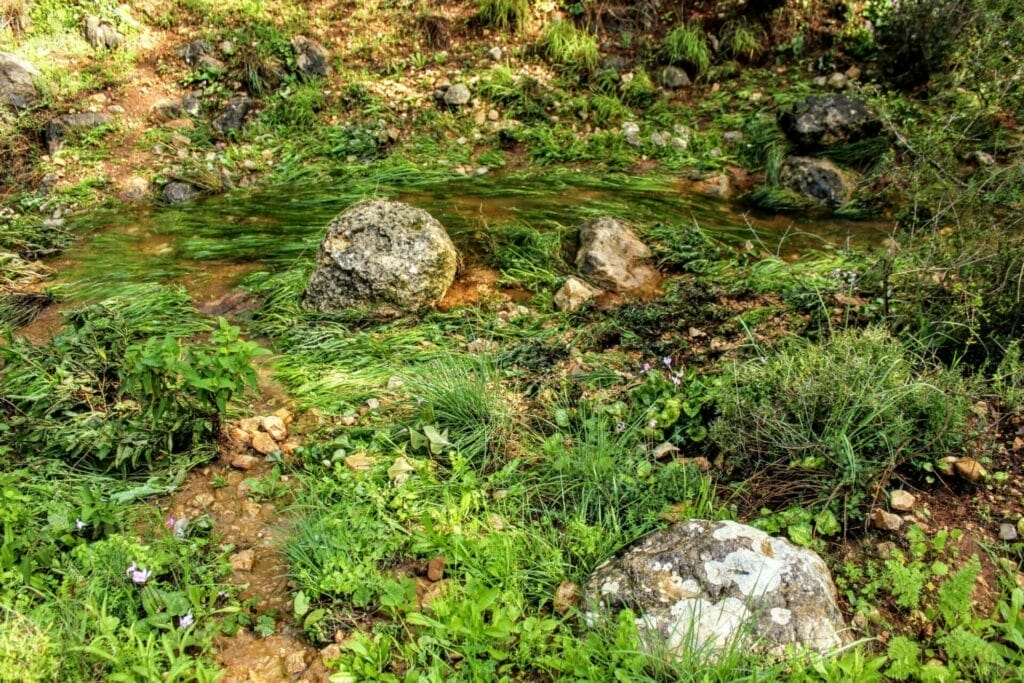 Nahal Yitla - Neve Ilan Forest