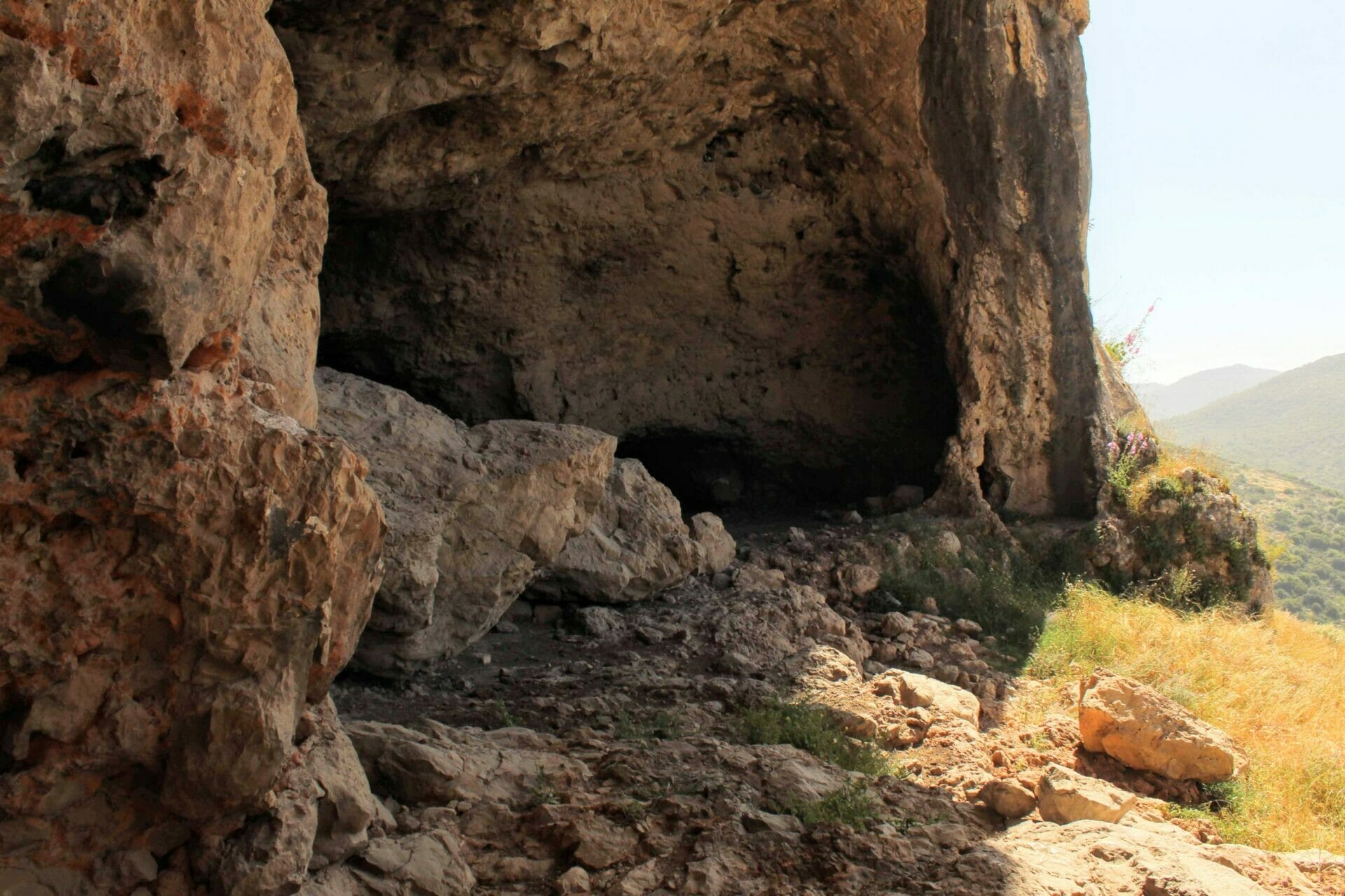 -383905145533867953_IMG_3564