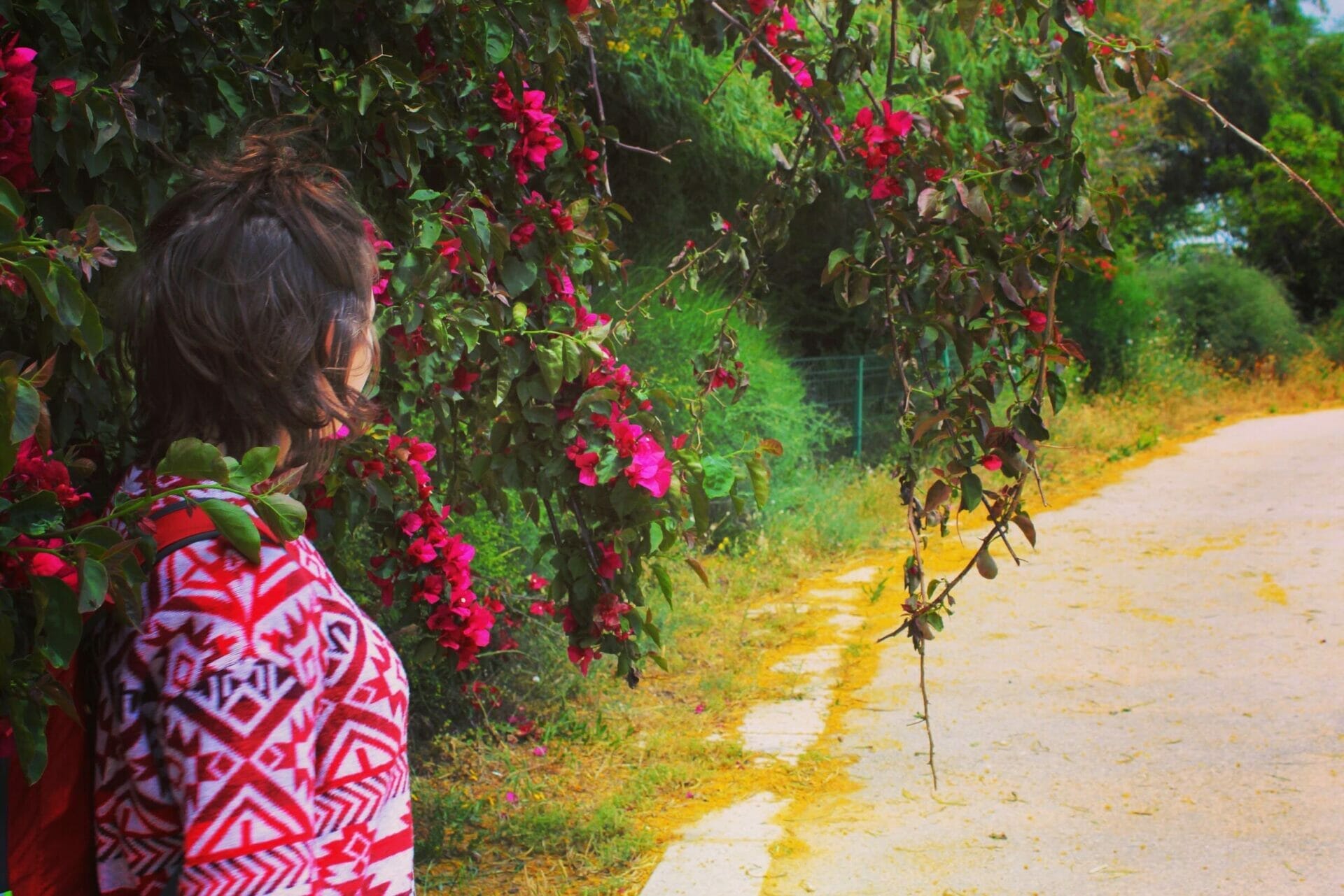 164F45B2-9FE1-4620-94E0-9BEA4A9AC07B