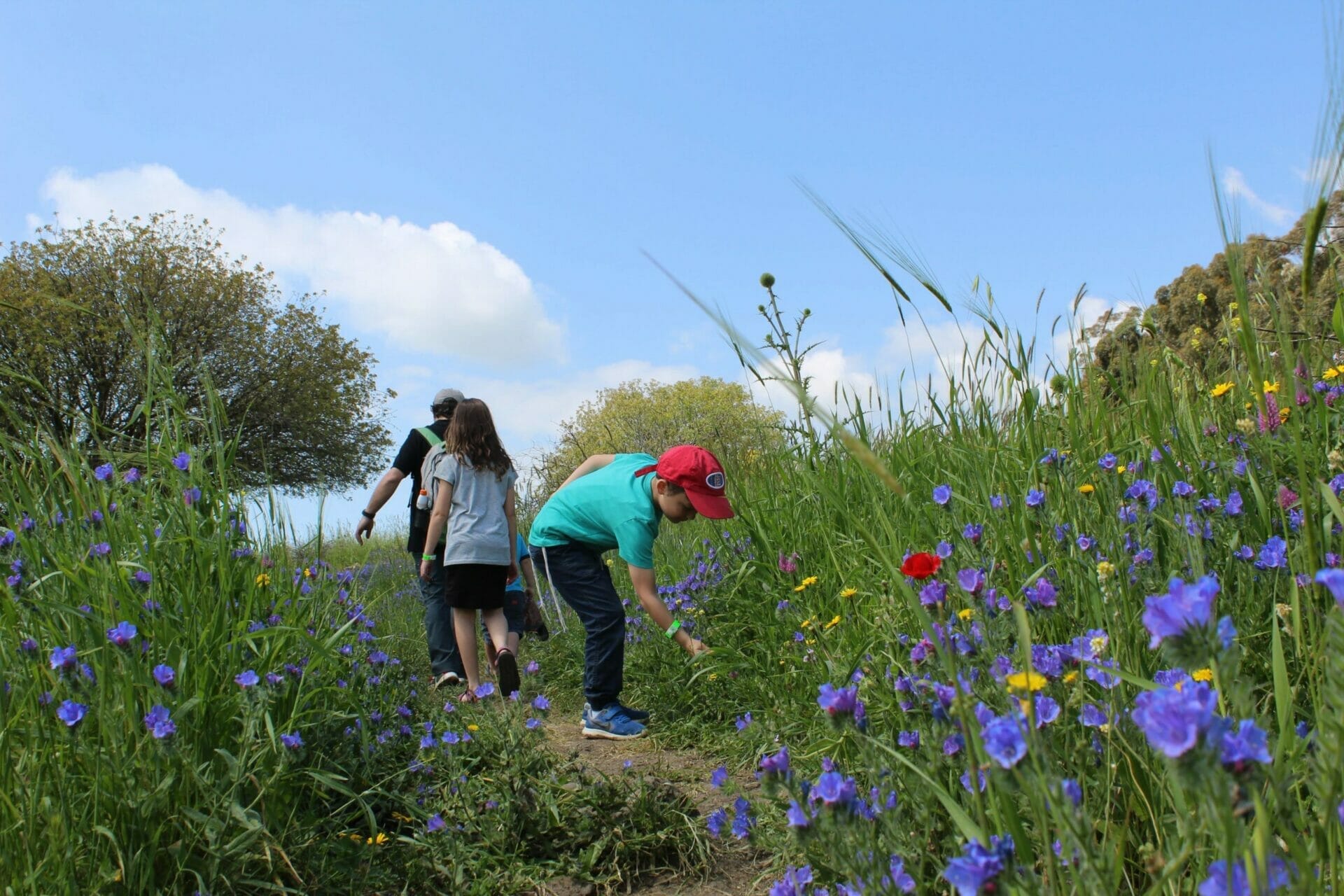 -1096678524659928562_IMG_1463