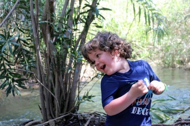 Summer hikes for families in israel