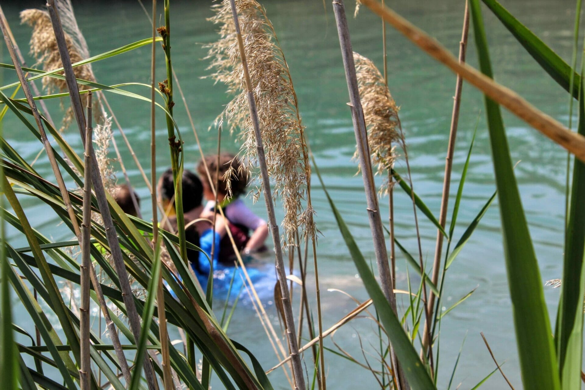 Nahal HaKibbutzim - Water hikes in Israel
