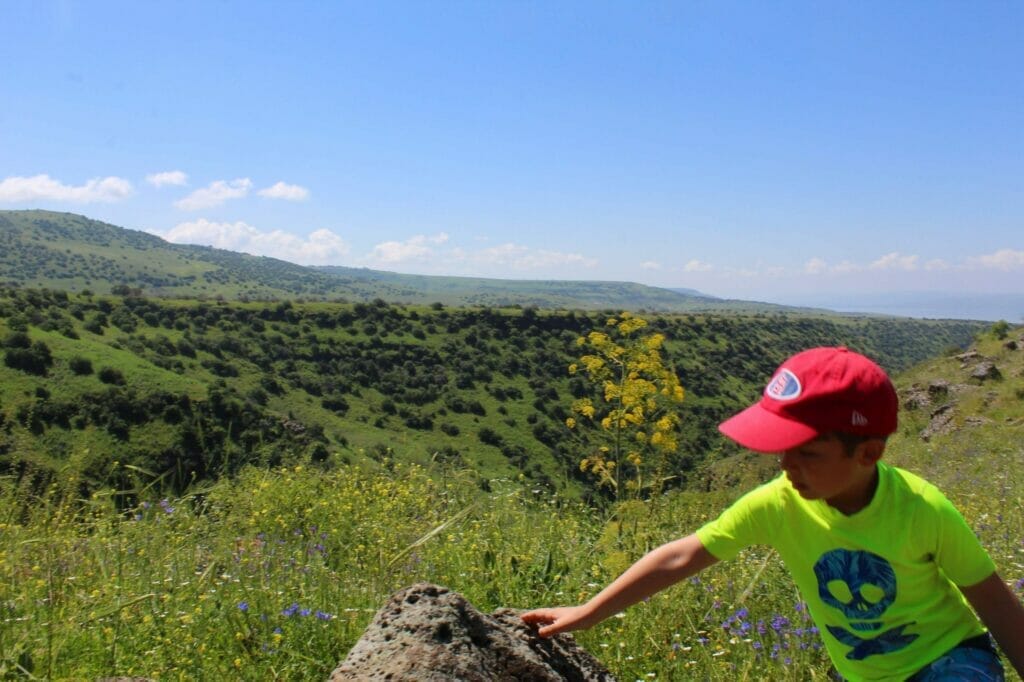 Yehudiya Falls Hike