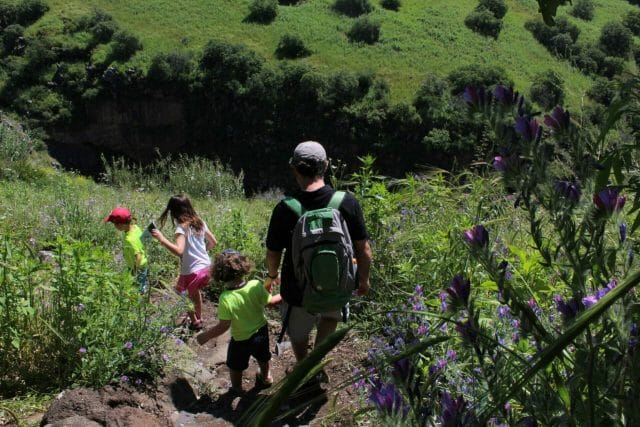 Yehudiya Falls Hike