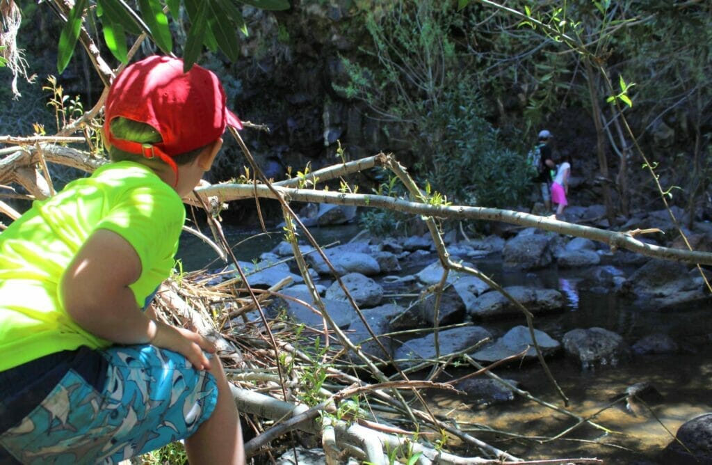 Yehudiya Falls Hike