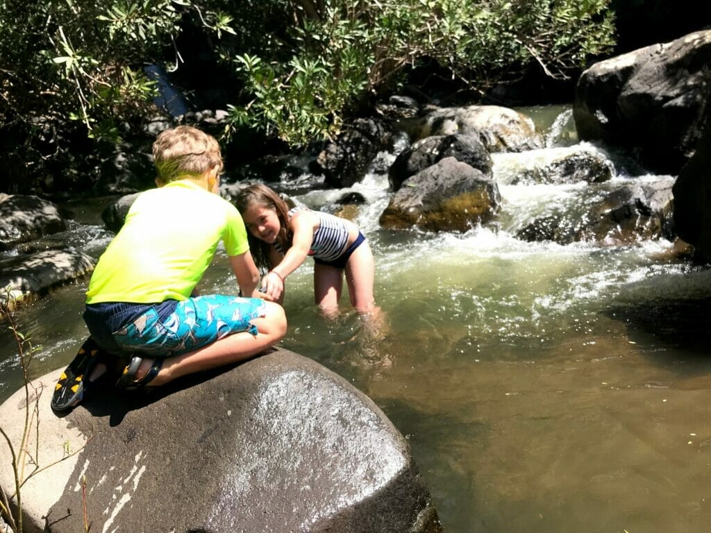 Yehudiya Falls Hike