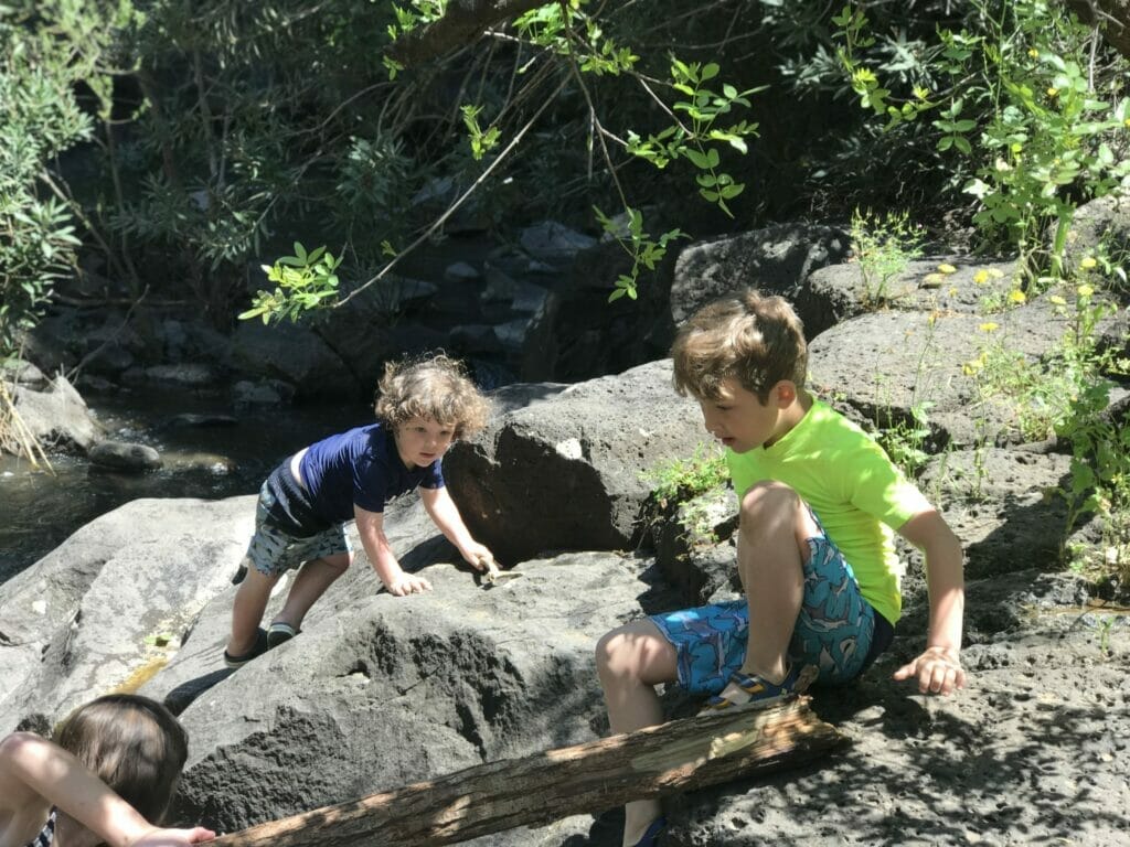 Yehudiya Falls Hike