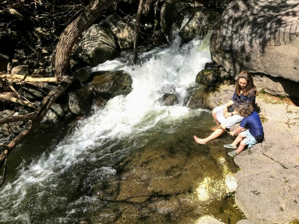 Yehudiya Falls Hike