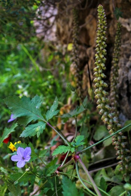 Ein Prat Nature Reserve hike.