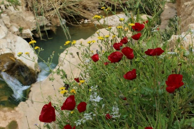 Ein Prat Nature Reserve hike.