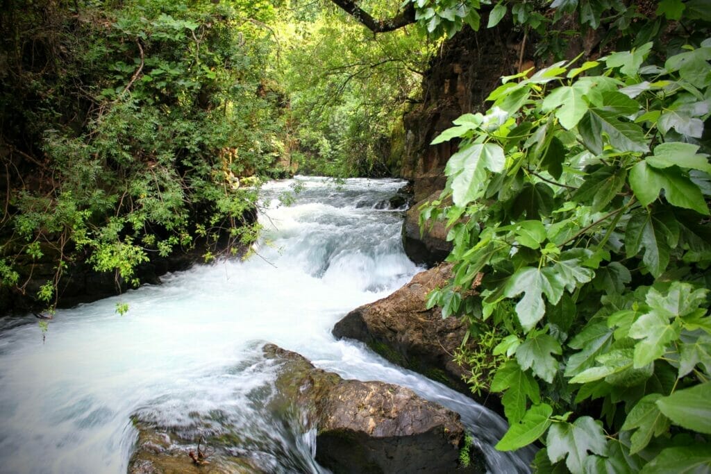 Banias Springs hike 