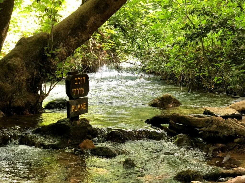 Banias Springs Hike.