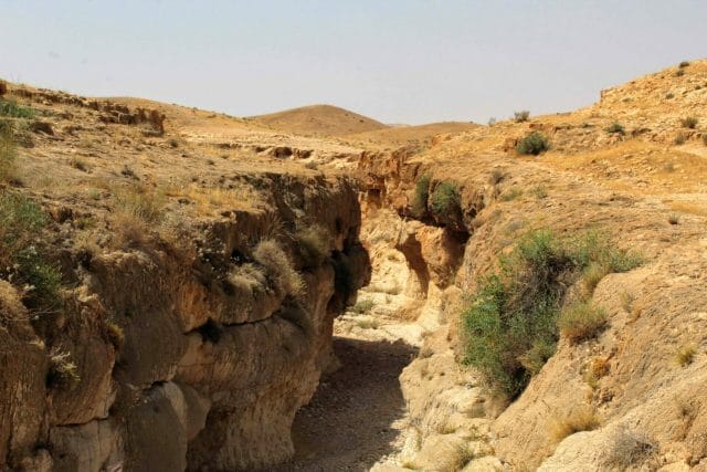 Nahal Dragot Circular Hike.