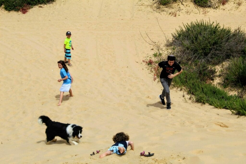 Holot Nitzanim - Nitzanim Sand Dunes