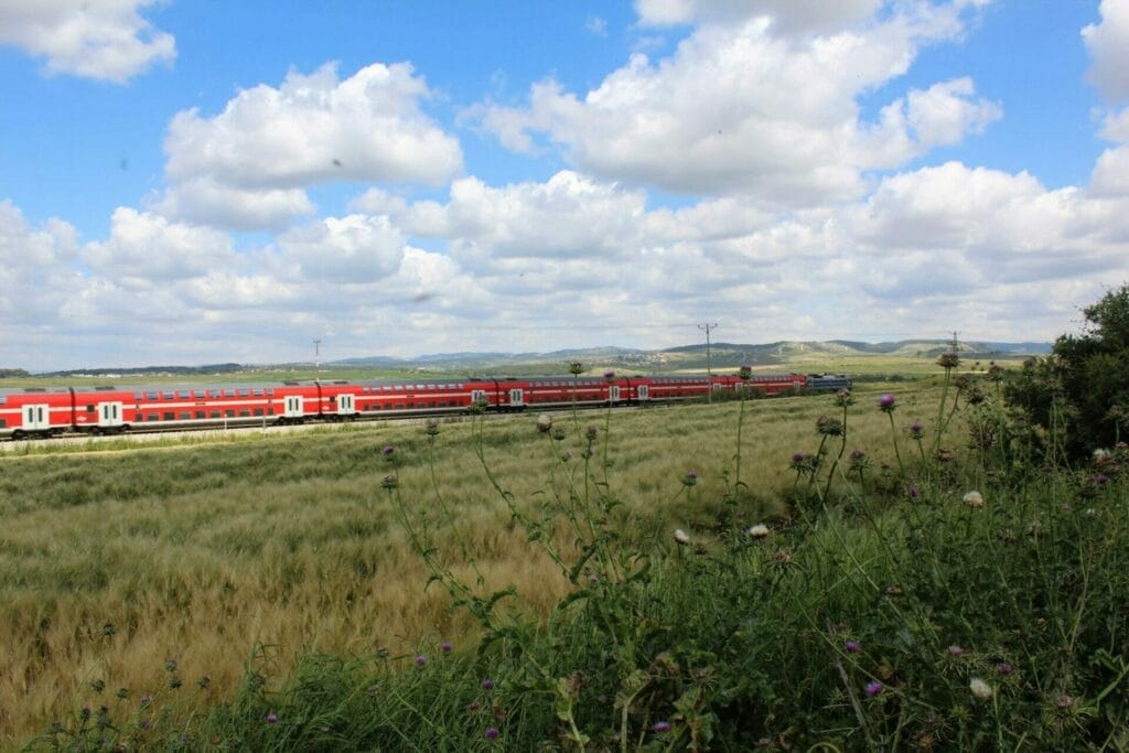 Cyclamen Hill Tal Shahar