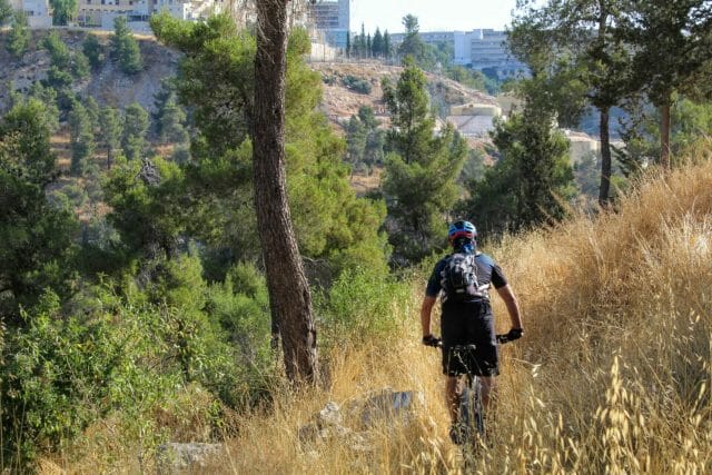 Shvil Haerez - Jerusalem Forest hike.