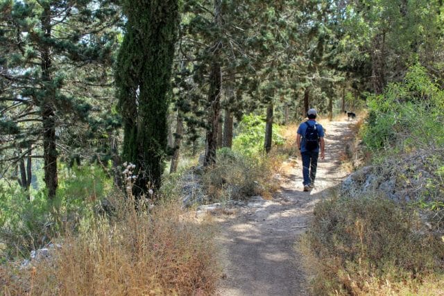 Jerusalem forest hike - shvil haerez