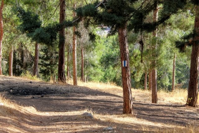 Shvil Haerez - Jerusalem Forest hike.