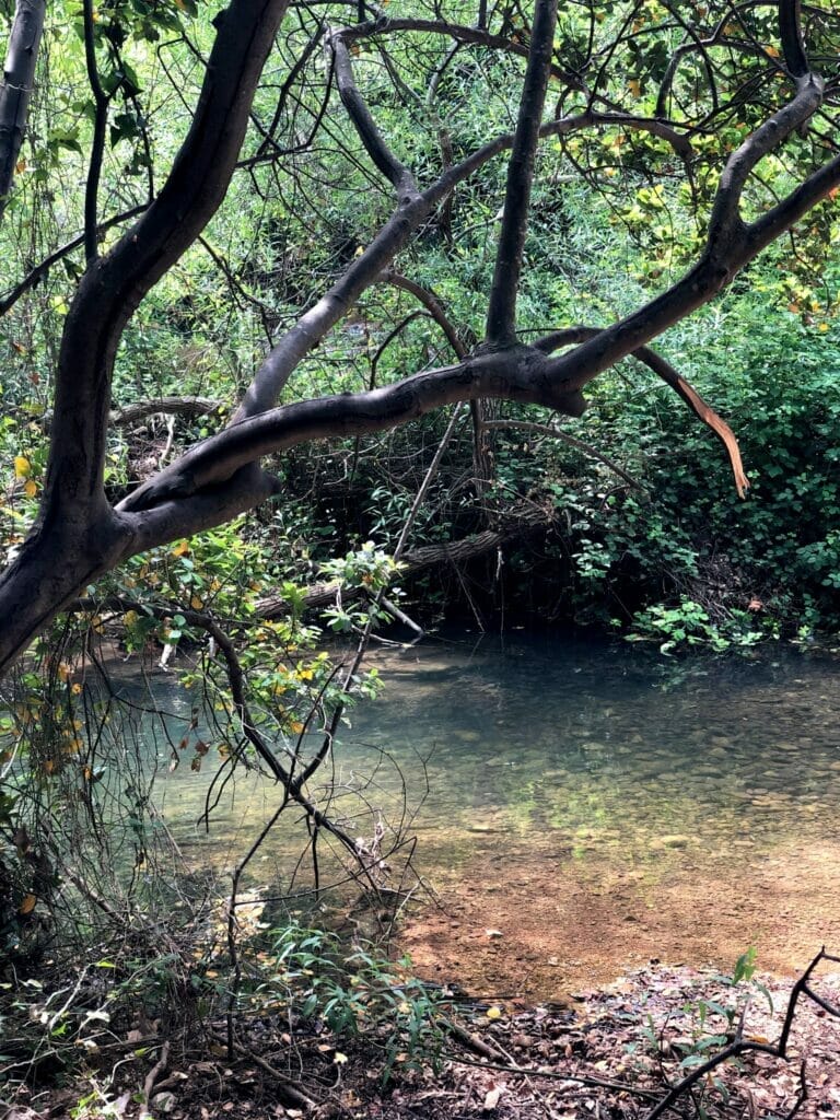Montfort/ Nahal Kziv hike.