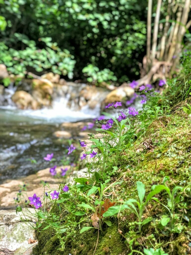 Montfort/ Nahal Kziv hike.