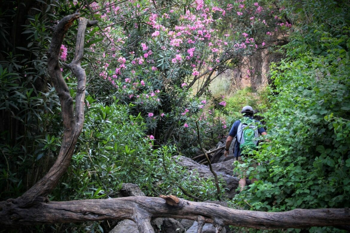 Nahal Jilaboun Waterfall Hike