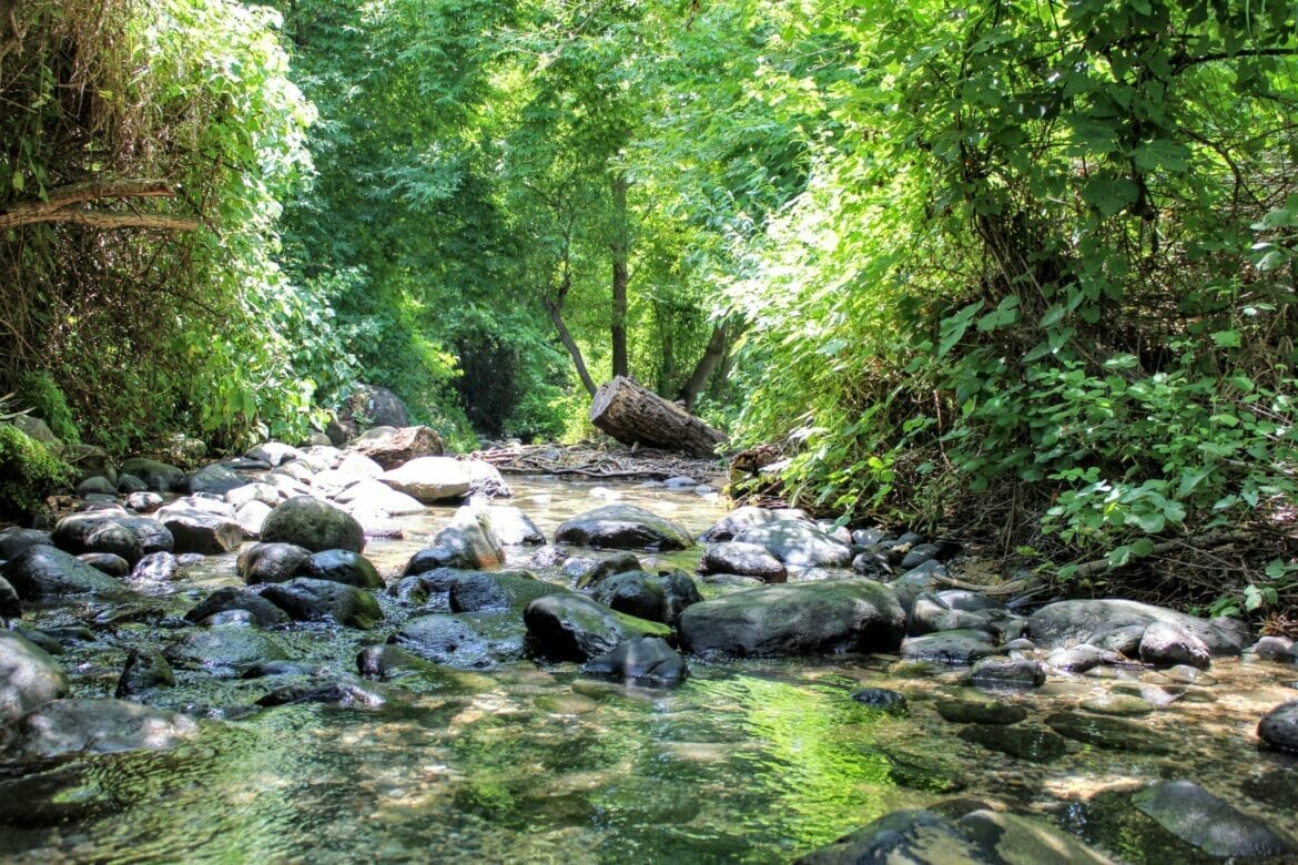 Nahal Snir River Walk