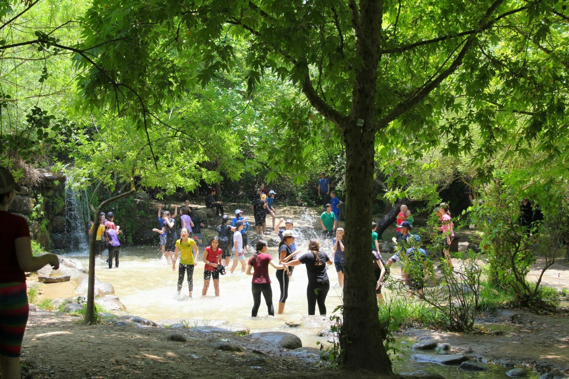 -4101599830875717073_IMG_5049