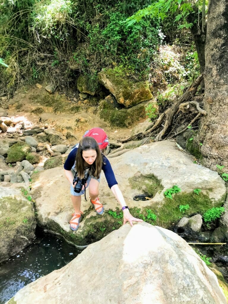 Nahal Snir River Walk