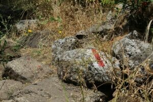 The red trail takes you to the Black Waterfall and along the stream. Nahal El Al.