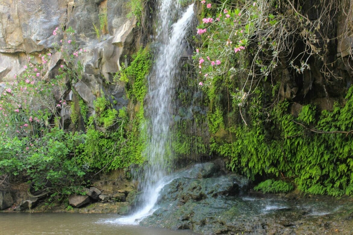 Nahal El Al – Waterfalls Any Way You Like ‘Em