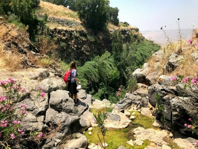 Nahal El Al hike the way up.