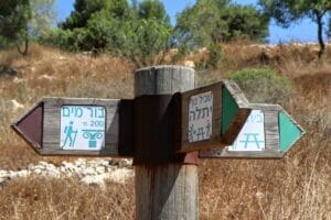 Continue along the trail towards the well. You can follow the green path up from the well. Nahal Yitla Scenic Trail