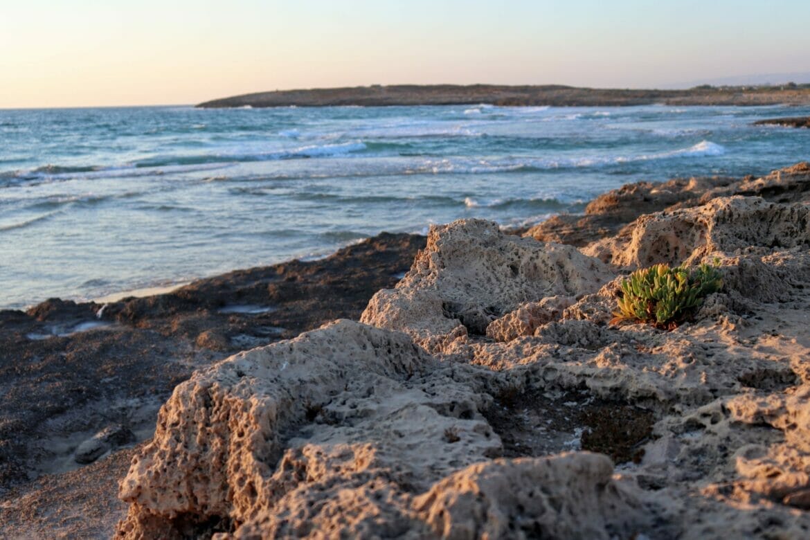 Dor HaBonim Beach Trail