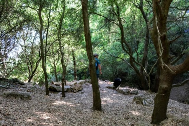 Best hikes for summer in Israel.
Jul hikes
Israel hikes for summer