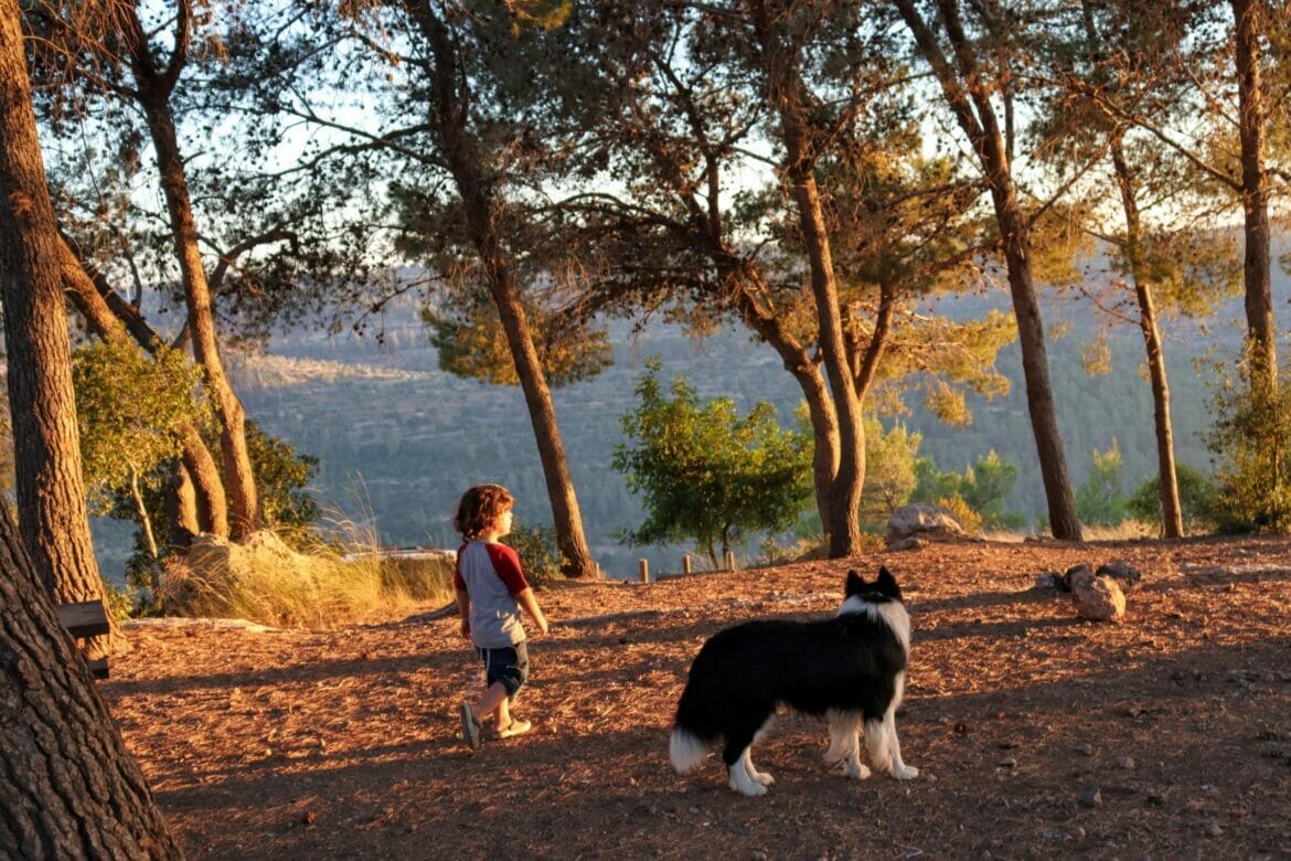 Camping Trail at Havat HaGitot