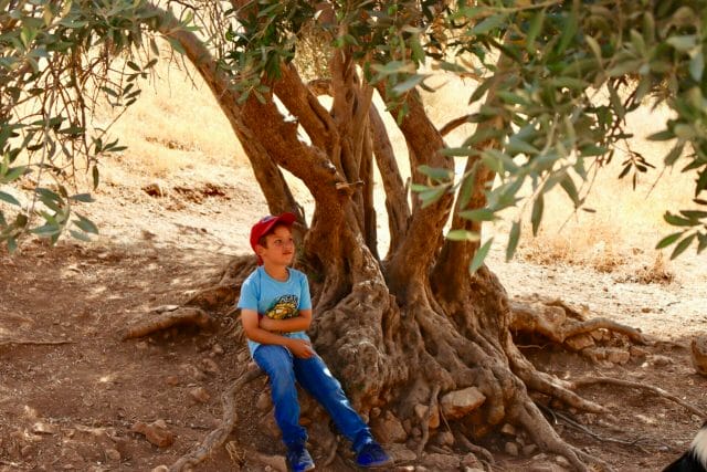Ma'arat HaTeumim hike.