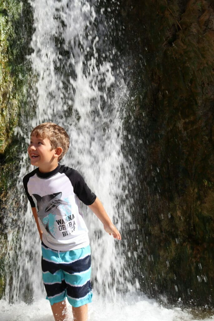 Nahal David at Ein Gedi