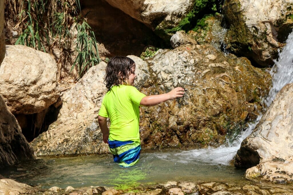 Nahal David at Ein Gedi