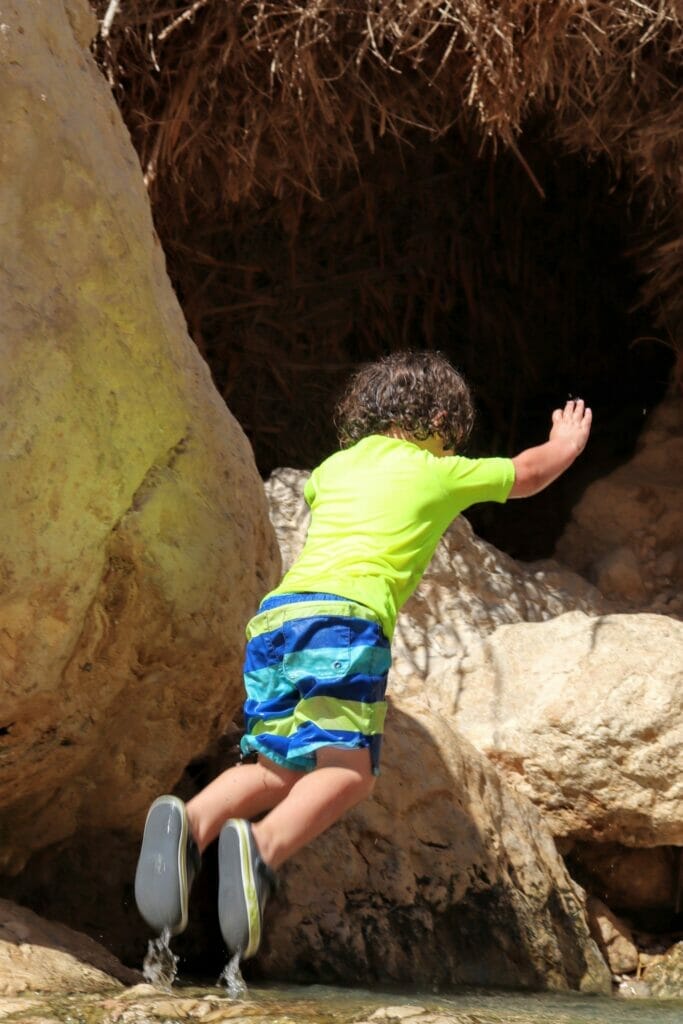 Nahal David at Ein Gedi