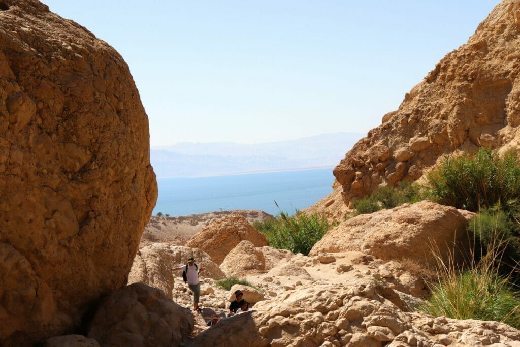 Nahal David at Ein Gedi