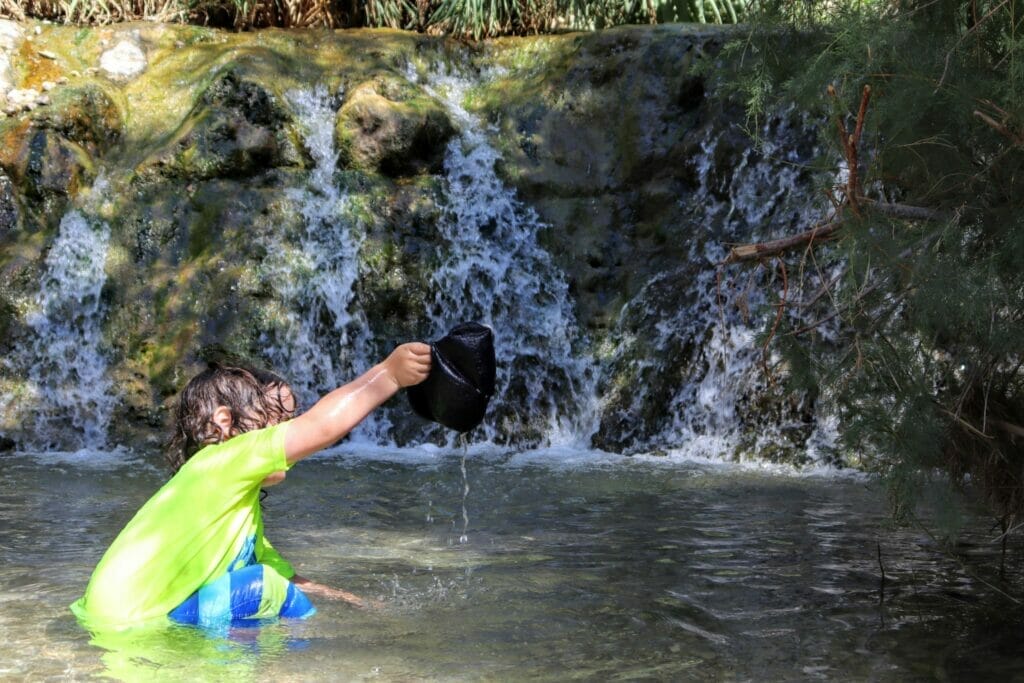 Nahal David at Ein Gedi