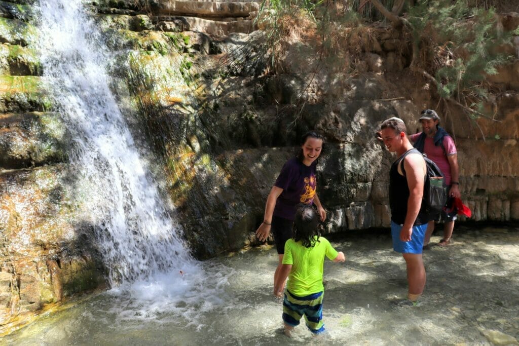 Nahal David at Ein Gedi