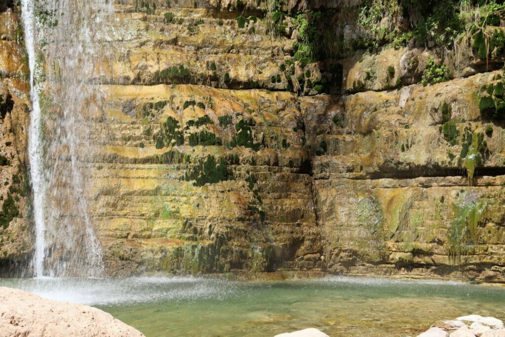 Nahal David at Ein Gedi