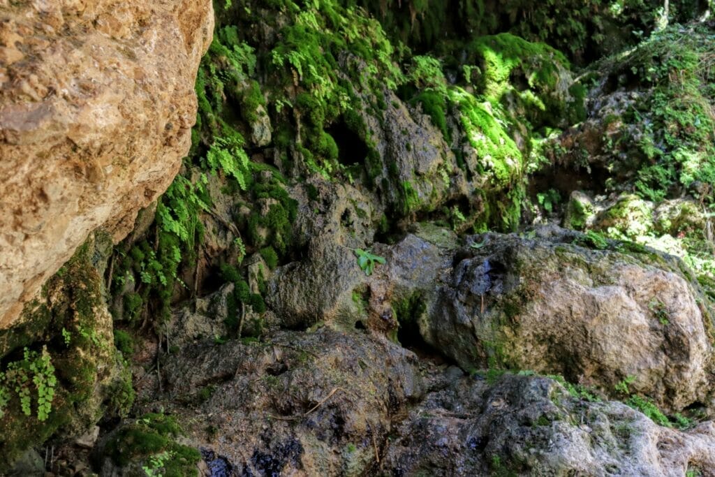 Nahal David at Ein Gedi