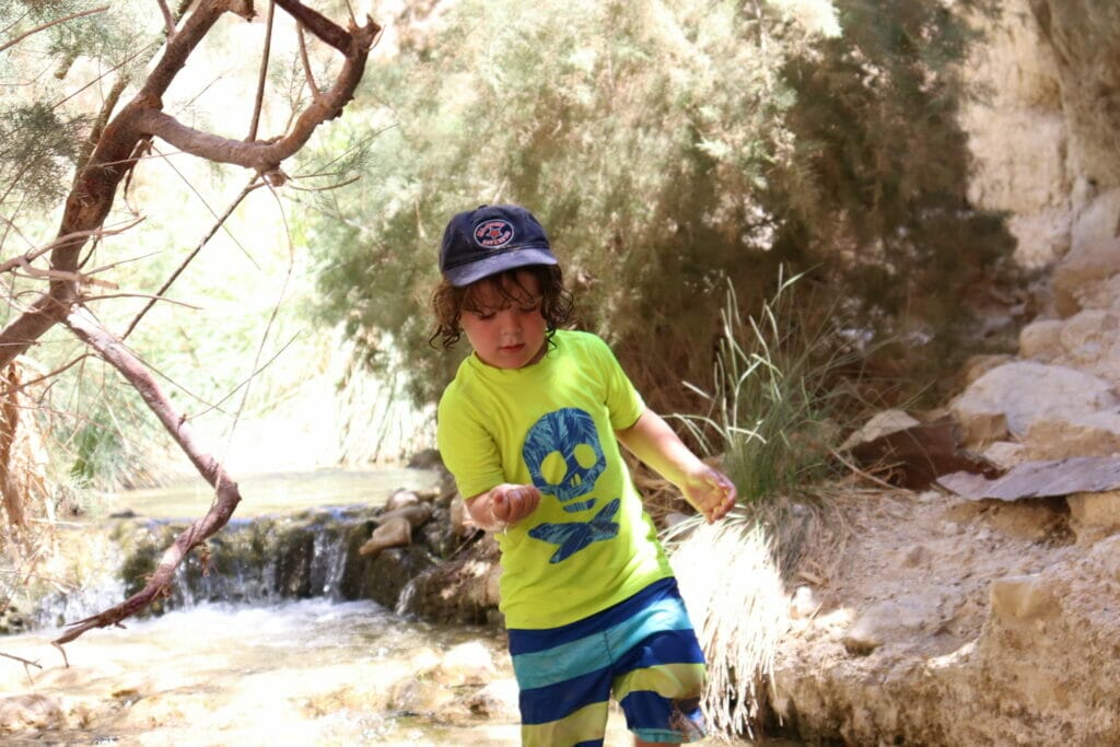 Nahal David at Ein Gedi
