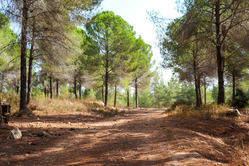 Jerusalem hikes